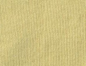 Para Aramid Cloth